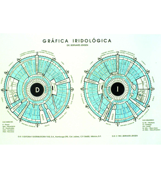 Lámina Iridiologia Color Dr.Bernard Jensen A3
